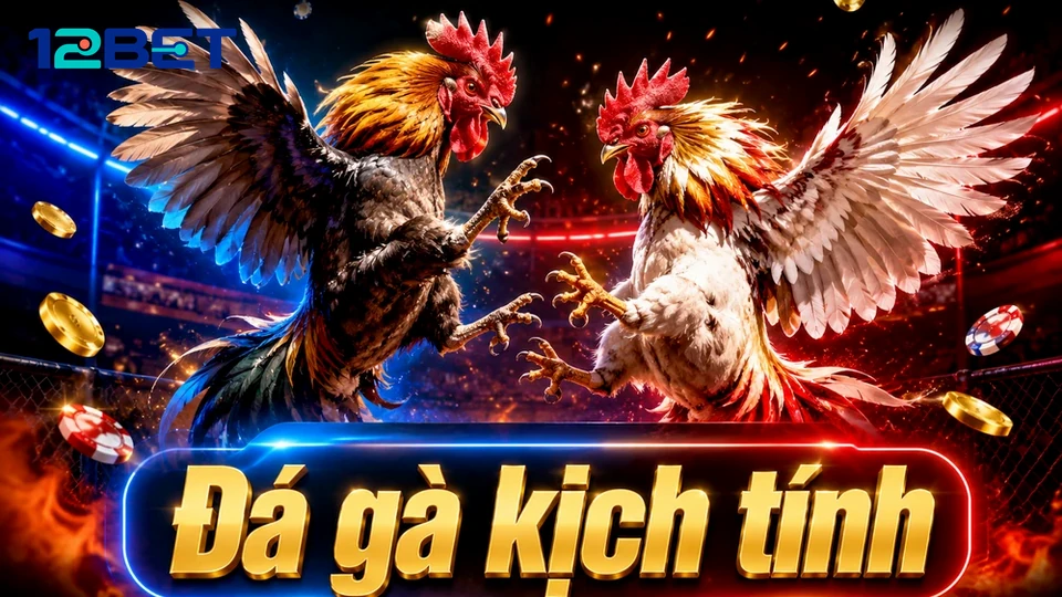 Đá Gà Trực Tuyến 12BET: Đọc Chi Tiết Giao Diện Quản Lý Phiên Chơi, Lập Kế Hoạch Nghỉ Giải Lao Và Sử Dụng Công Cụ Tự Giới Hạn – Góc Kiểm Chứng Theo Tên Miền 12betvn.pw